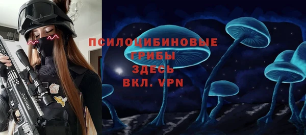 ПСИЛОЦИБИНОВЫЕ ГРИБЫ Абаза
