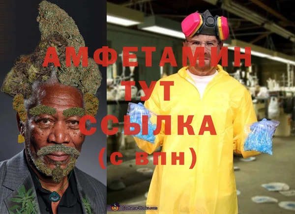 ПСИЛОЦИБИНОВЫЕ ГРИБЫ Абаза