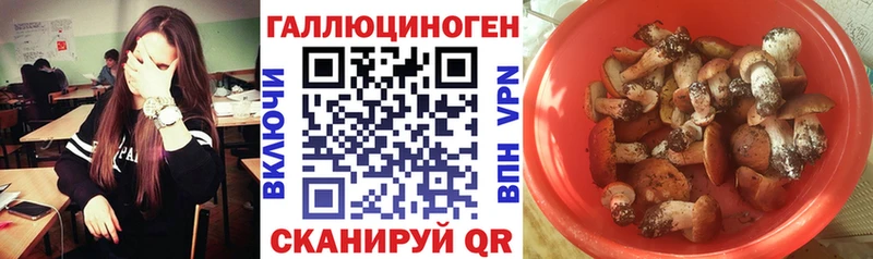 Галлюциногенные грибы прущие грибы  цены   Кириллов 
